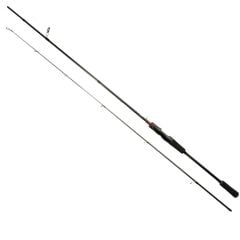 Daiwa Rs C3000 Ryuji Luna 270cm 5-55gr Olta Takımı Seti