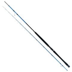 Ryuji Shore Game Fuji 285 cm 25-85gr 2 Parça Shore Jig Kamışı