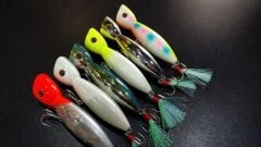 Fujin La-Nina Maket Balık Su Üstü Popper