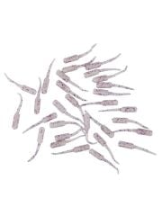 Fujin Baby FRY 2,7cm LRF Silikon Yem